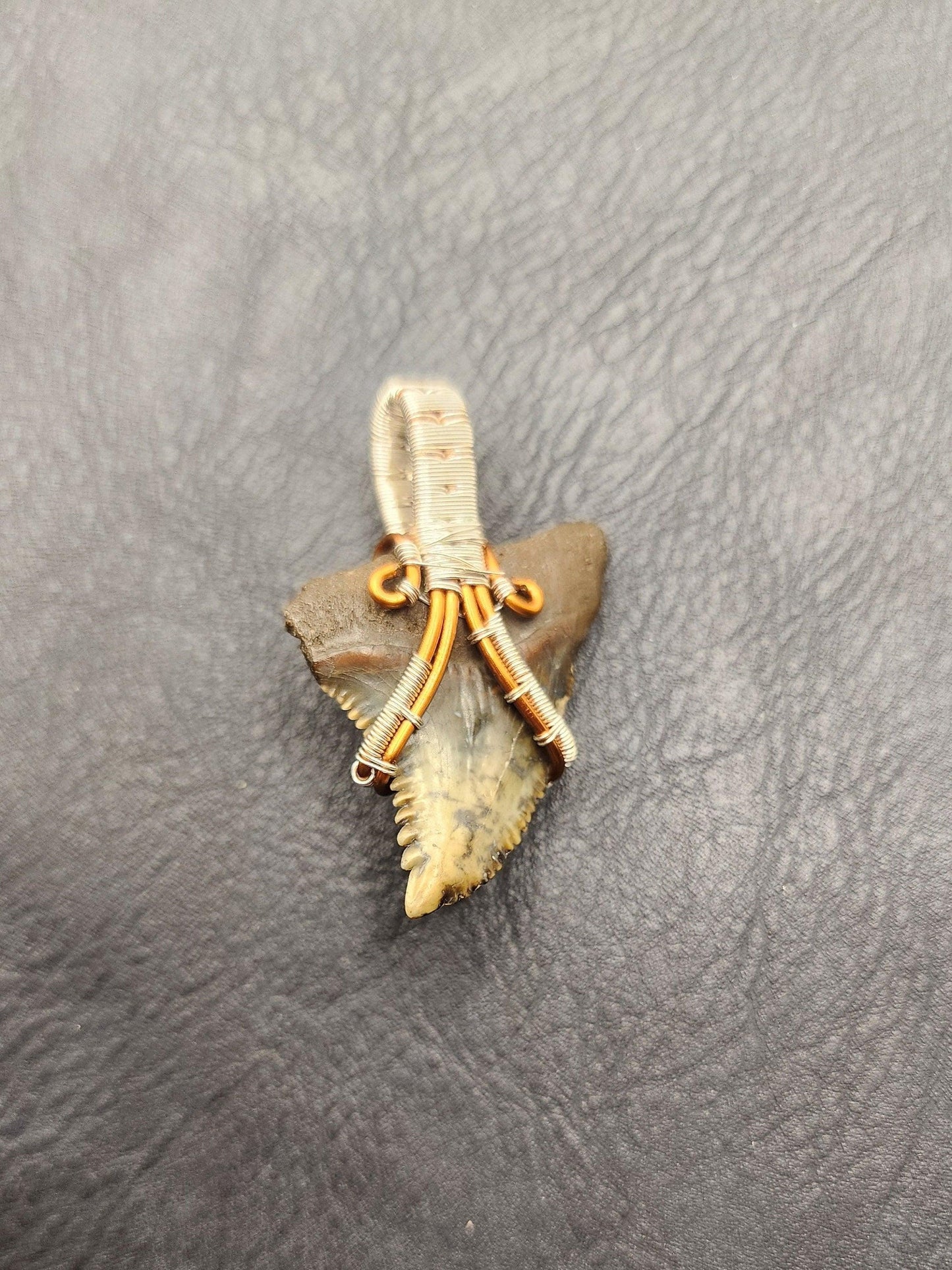 Wire Wrapped Shark Tooth - ST6 - Beaunique Boutique