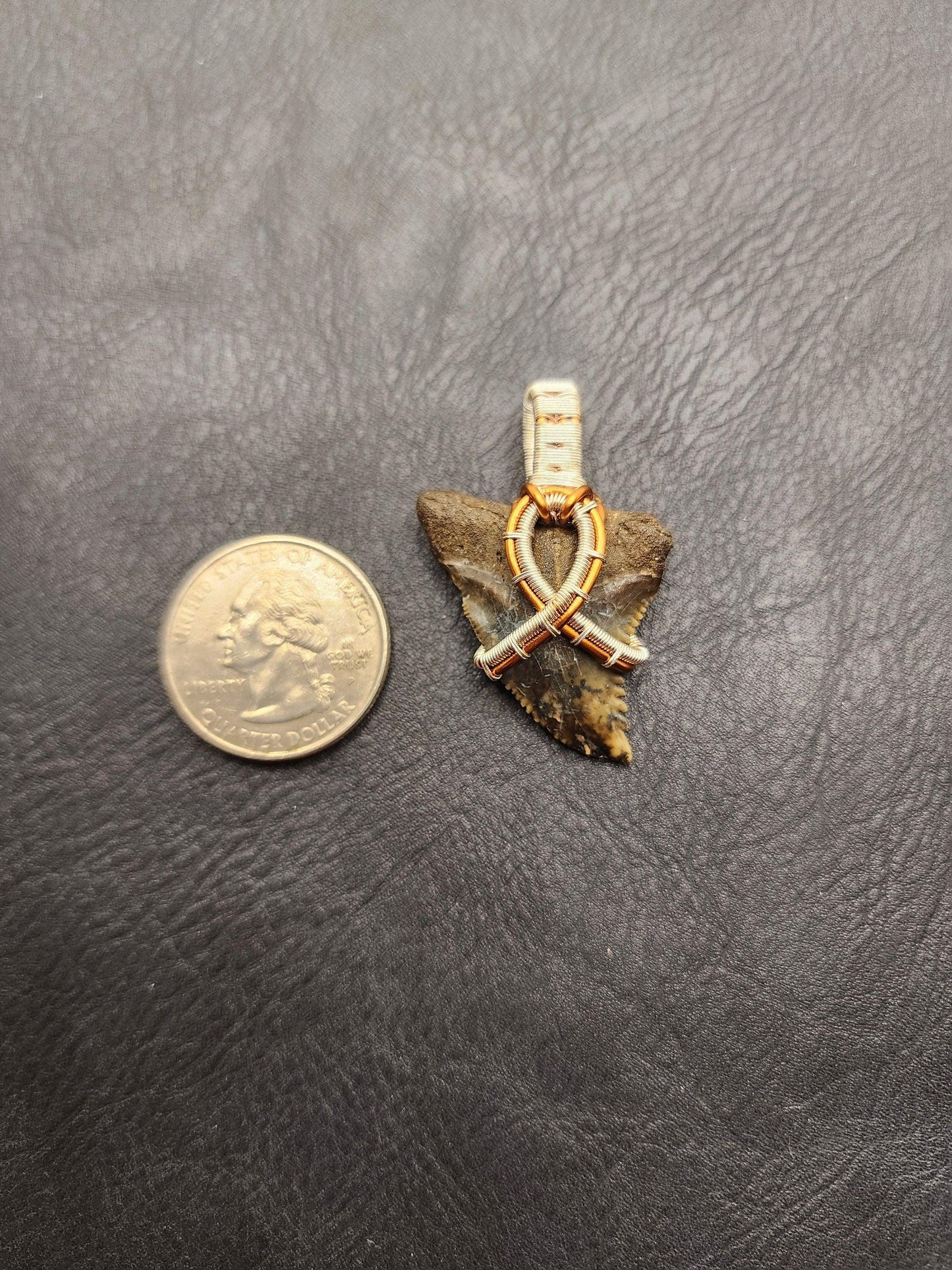Wire Wrapped Shark Tooth - ST6 - Beaunique Boutique