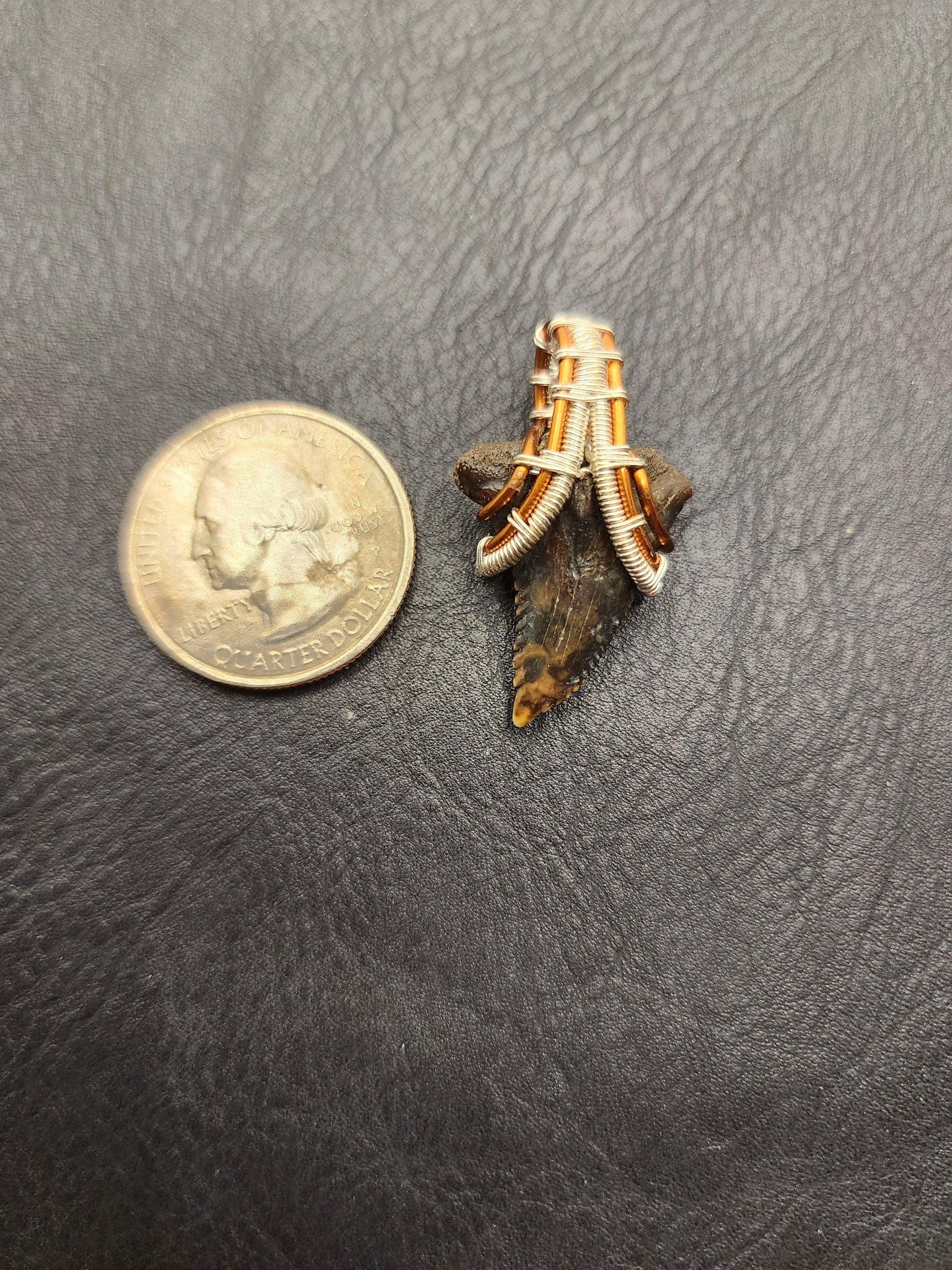 Wire Wrapped Shark Tooth - ST10 - Beaunique Boutique