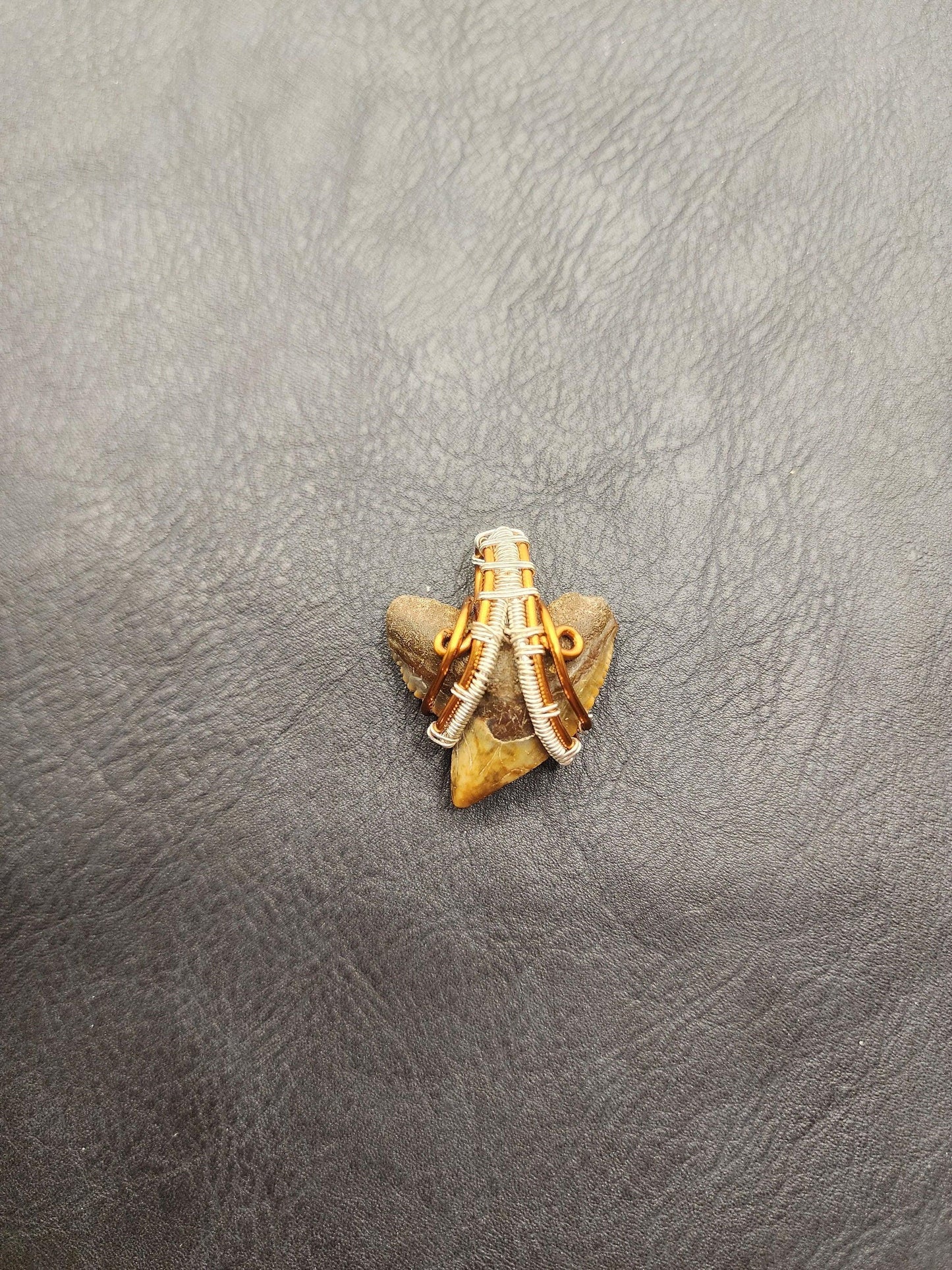Wire Wrapped Shark Tooth - ST13 - Beaunique Boutique