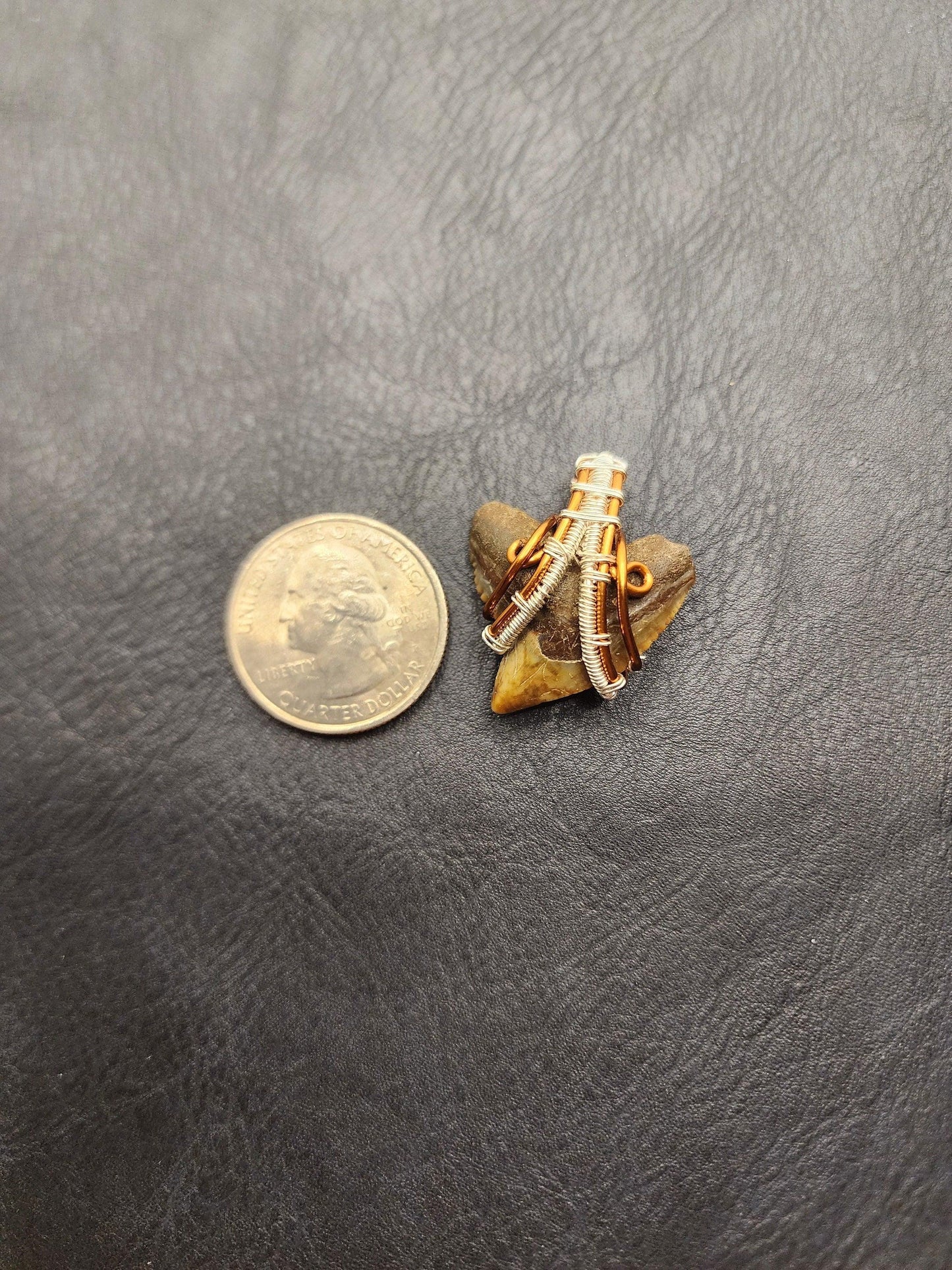 Wire Wrapped Shark Tooth - ST13 - Beaunique Boutique