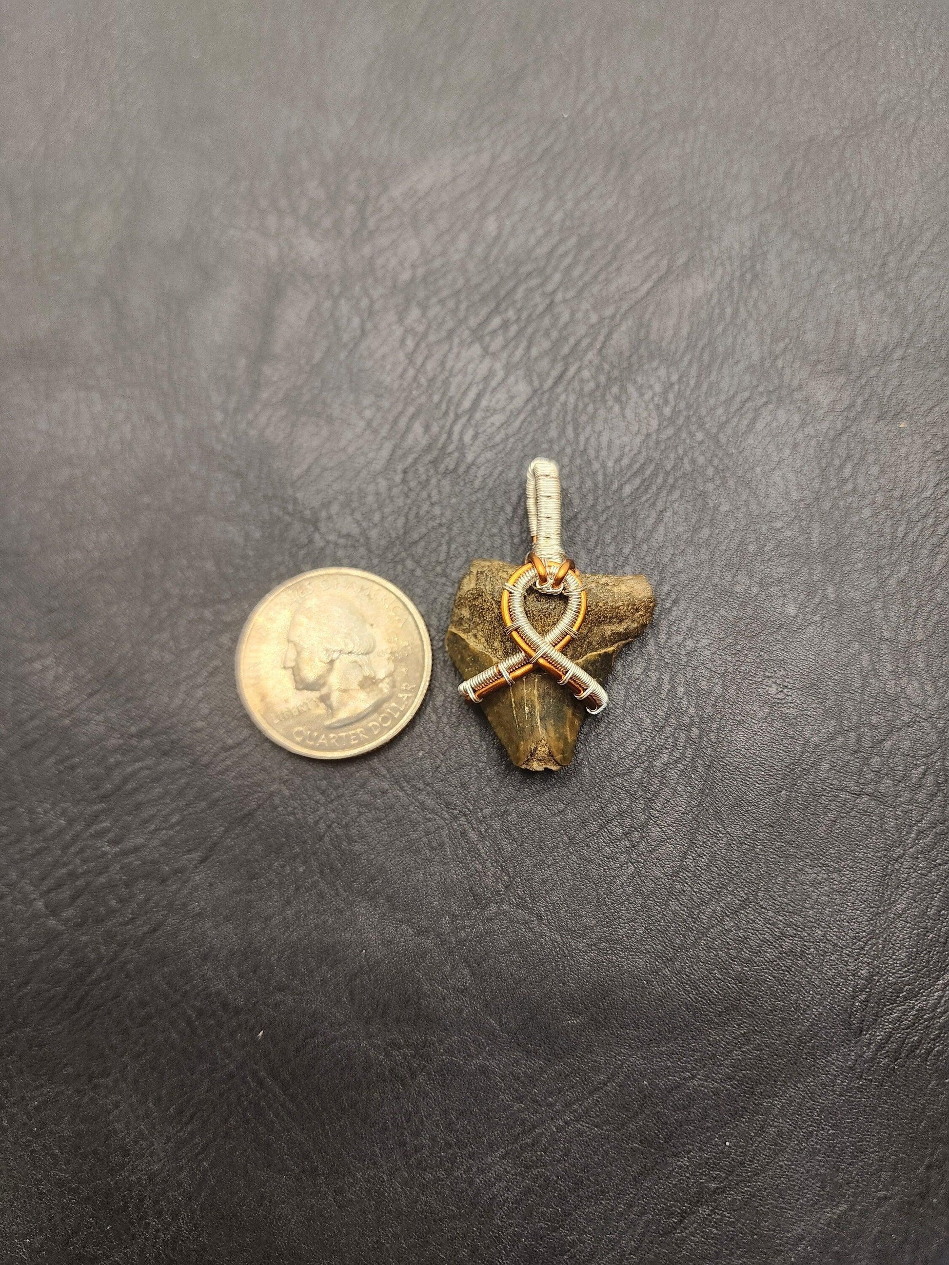 Wire Wrapped Shark Tooth - ST15 - Beaunique Boutique