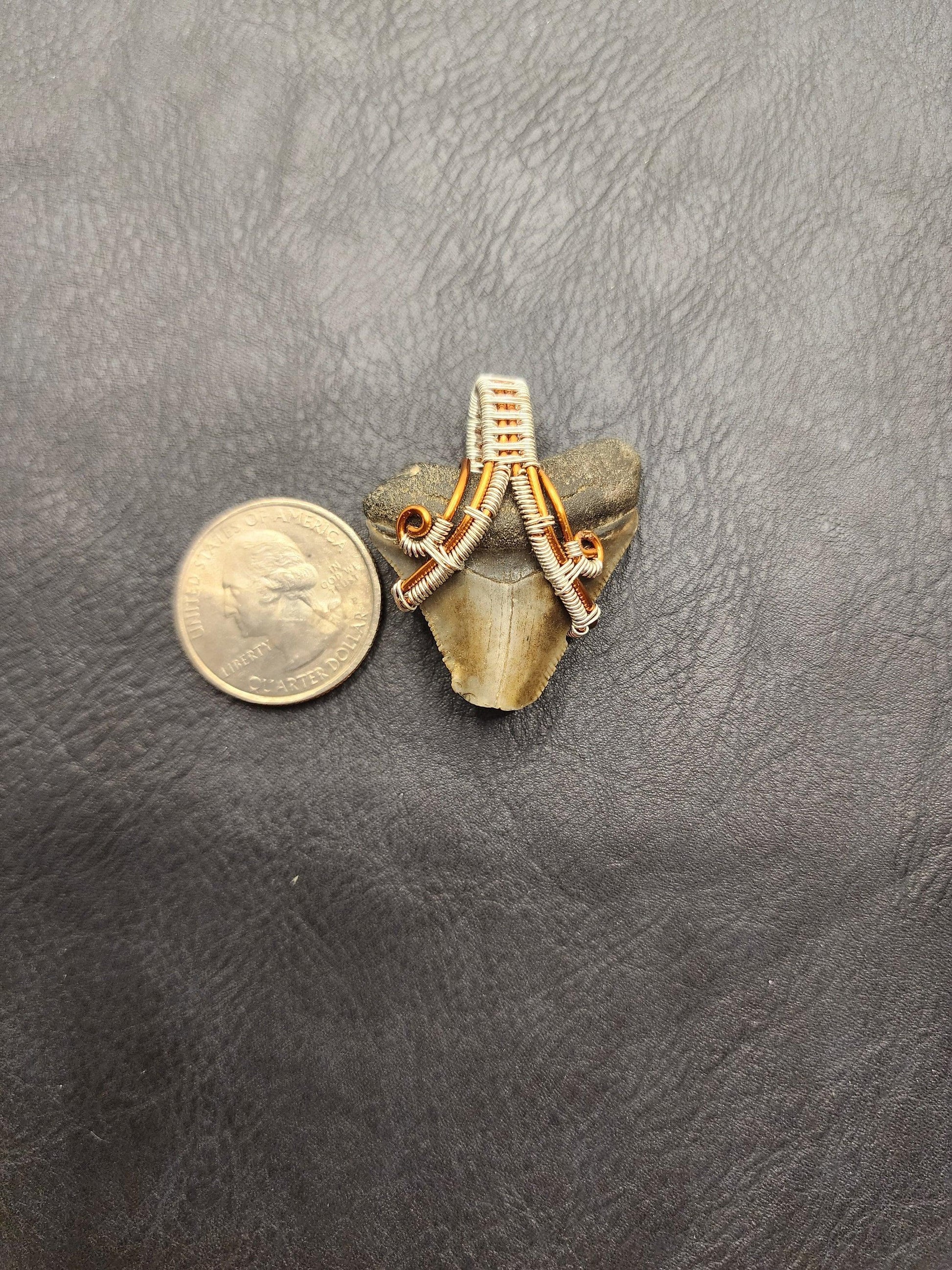 Wire Wrapped Shark Tooth - ST16 - Beaunique Boutique