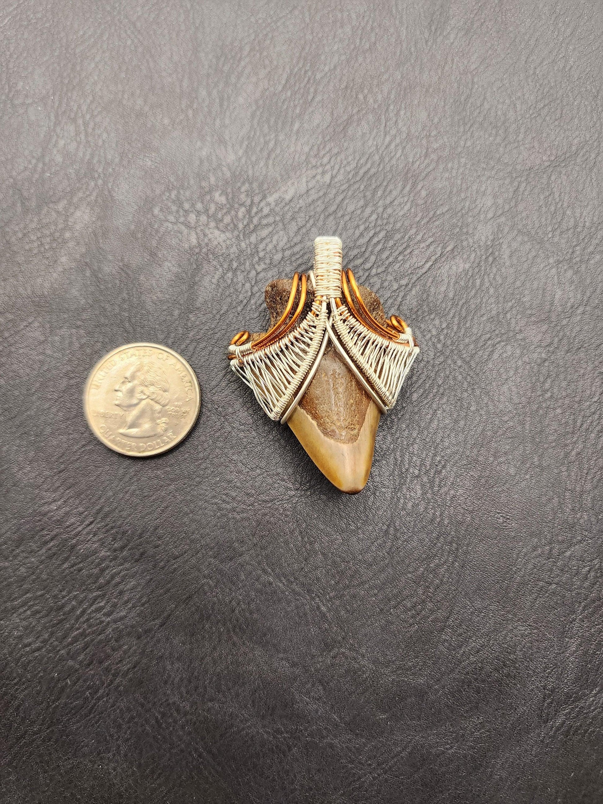 Wire Wrapped Shark Tooth - ST2 - Beaunique Boutique