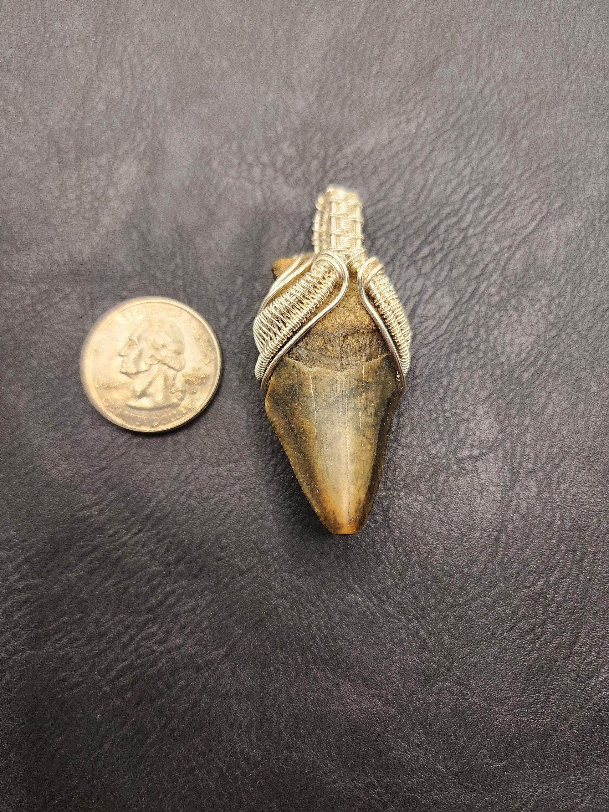 Wire Wrapped Shark Tooth - ST4 - Beaunique Boutique