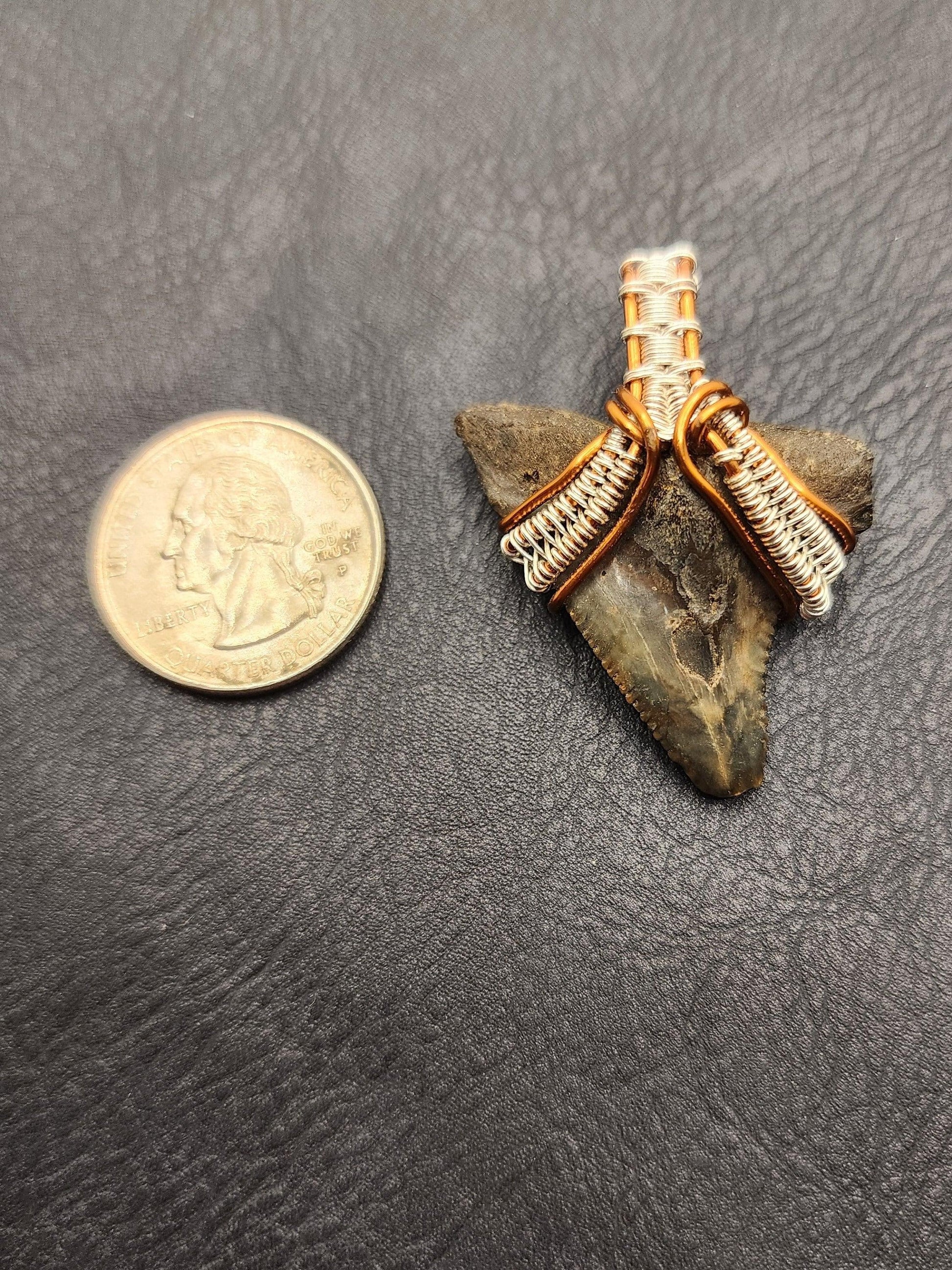 Wire Wrapped Shark Tooth - ST5 - Beaunique Boutique